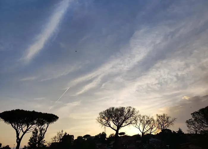 Belvedere Roma